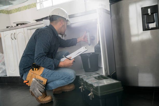 Best Local Plumber Services  in Pierz, MN