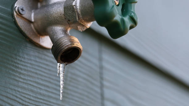 Best Plumbing Services Near Me  in Pierz, MN