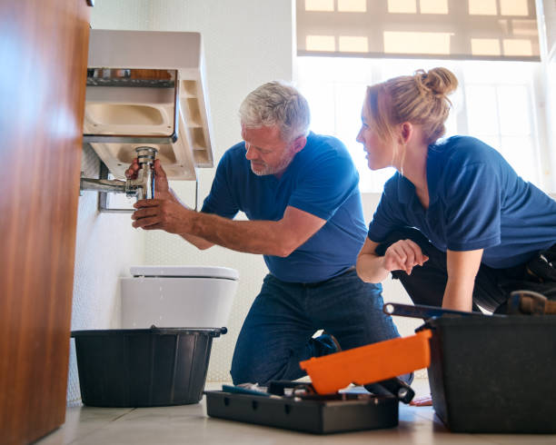 Best Sewer Line Repair  in Pierz, MN